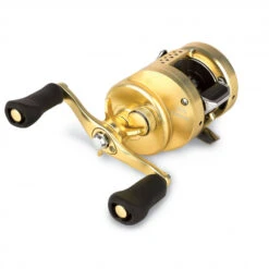 Shimano Calcutta Conquest 300/301 (2018) 7 Shimano Calcutta Conquest 300/301 (2018) -Magasin De Matériel De Pêche Professionnel 0000010000000000r 3