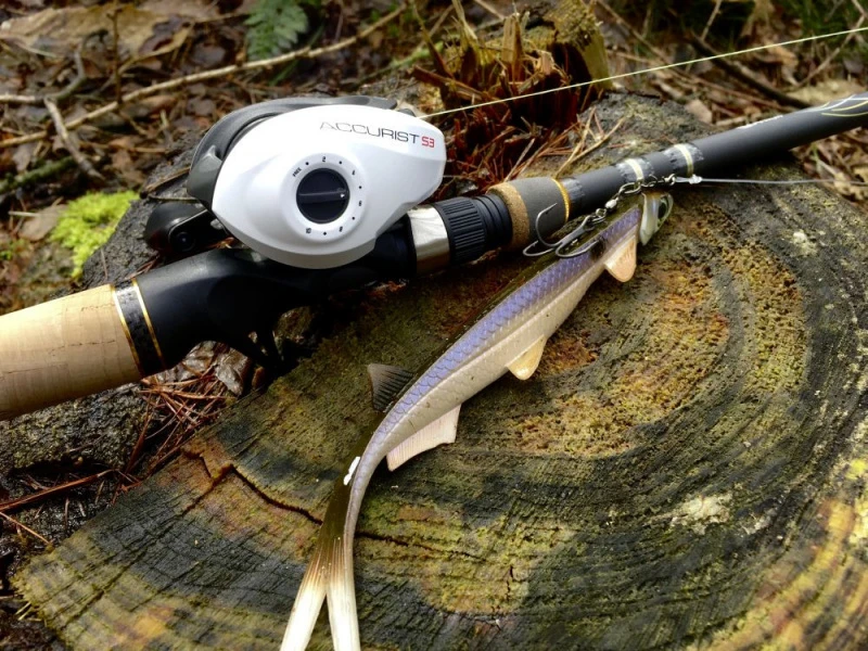 Quantum Accurist Baitcast AT101 HPT 6 Quantum Accurist Baitcast AT101 HPT – Image 6