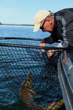 Drifter Tackle Predator Net 48 Black Handle 9 Drifter Tackle Predator Net 48 Black Handle -Magasin De Matériel De Pêche Professionnel PR40XXL BKr 4