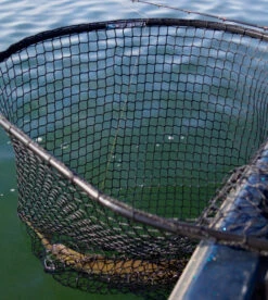 Drifter Tackle Predator Net 48 Black Handle 10 Drifter Tackle Predator Net 48 Black Handle -Magasin De Matériel De Pêche Professionnel PR40XXL BKr 5